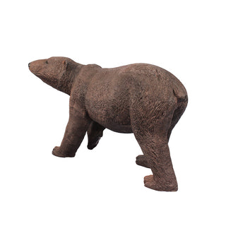 Grizzly Bear, Walking