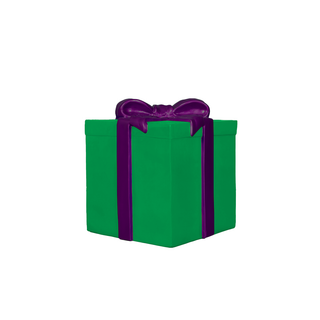 GIFT BOX LARGE (GREEN AND PURPLE RIBBON)