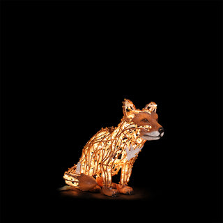 Fox Small Sitting