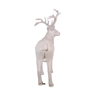White Stag