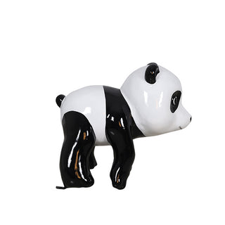 Panda Cub On Adventure