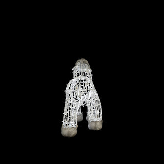 Polar Bear Baby, Walking