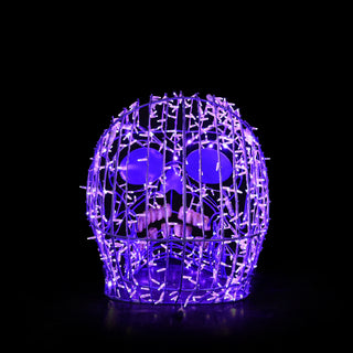 Skull Purple